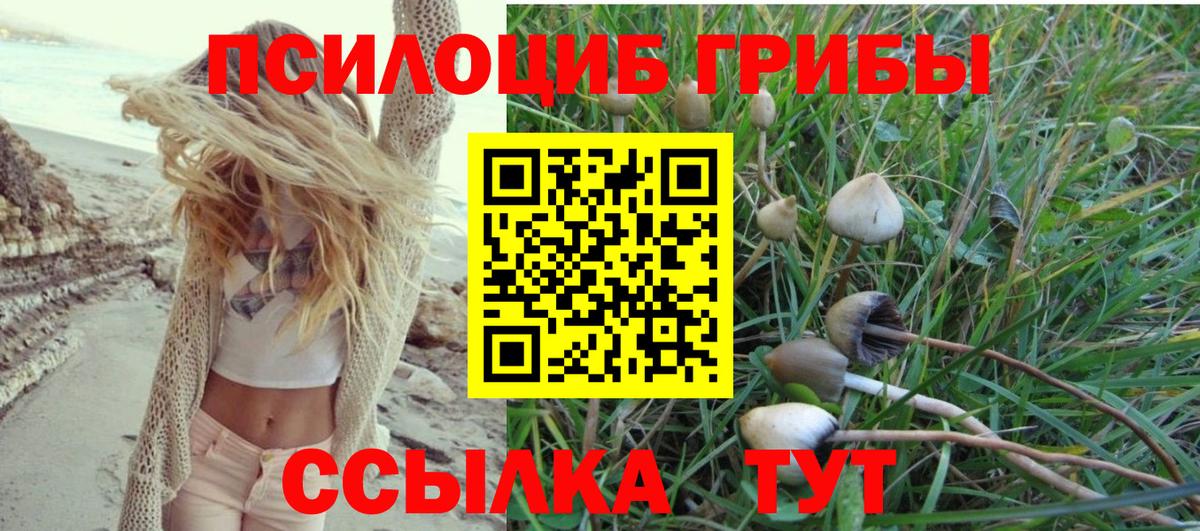 Нижневартовск  купить наркоту  Вход с VPN  Галлюциногенные грибы MAGIC MUSHROOMS 